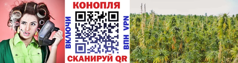 ОМГ ОМГ ONION  Бежецк  Шишки марихуана Bruce Banner  наркота 